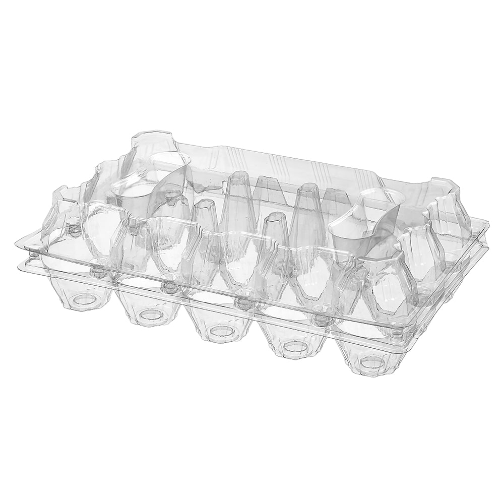 15'Li Yumurta Viyolü